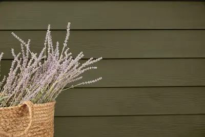 HardiePlank Lap Siding (James Hardie Building Products)