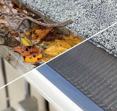 Raptor Stainless Steel Micro-Mesh Gutter Guard, 48 ft Contractor-Grade Kit (Gutterglove, Inc. (Raptor brand))
